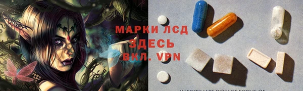 mdpv Бородино