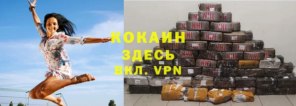 mdpv Бородино