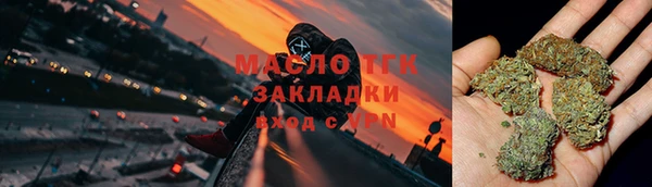 mdpv Бородино