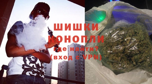 mdpv Бородино