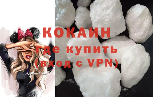 mdpv Бородино
